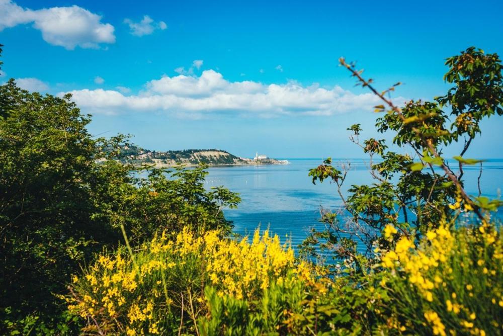 Vila Skolka Studio Portorož Zewnętrze zdjęcie