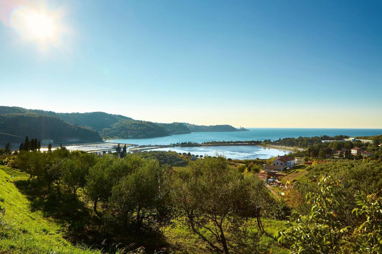 Vila Skolka Studio Portorož Zewnętrze zdjęcie