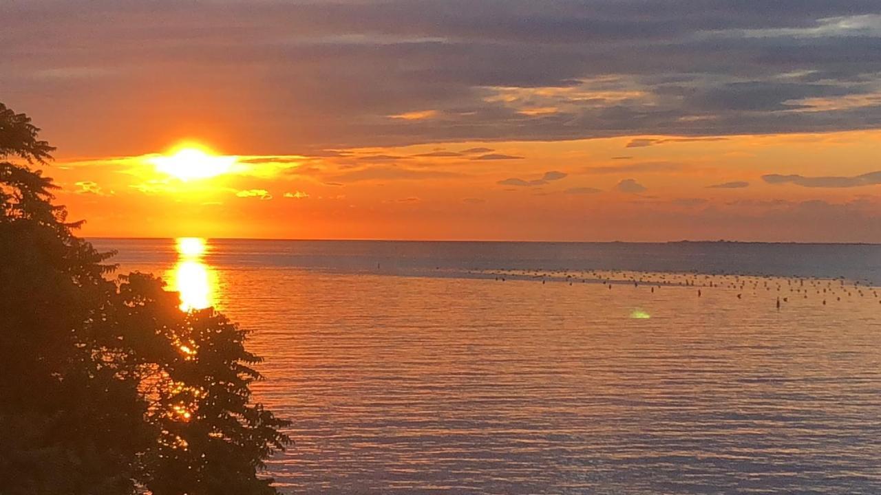 Vila Skolka Studio Portorož Zewnętrze zdjęcie